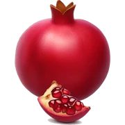 pomegranate sticker