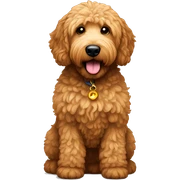 Golden doodle brown  sticker