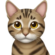 tabby cat sticker