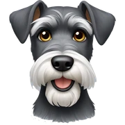Schnauzer sticker