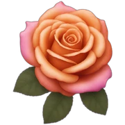 Rouge orange rose violet sticker