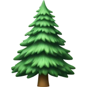  actual white fir christmas tree isolated.  sticker