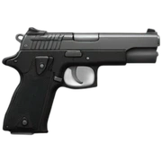 Gun sticker