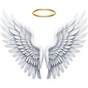 Angel wings sticker