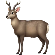Musk deer sticker