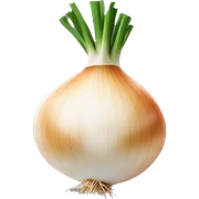 Onion sticker