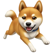 Sport Shiba Inu funny  sticker
