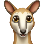 cangaroo sticker