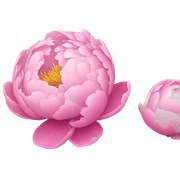 peonies sticker