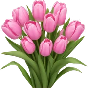 Bouquet of pink tulips sticker