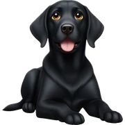 Black lab sticker