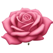 Rose rosa sticker