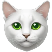white-cat-green-eyes sticker