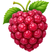 raspberry sticker