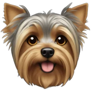 yorkshire terrier crossed with a griffon sticker