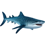 whale shark sticker