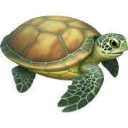 Sea turtle sticker