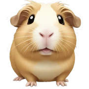 Beige Guinea pig  sticker