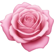 Pink rose sticker