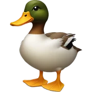 duck sticker