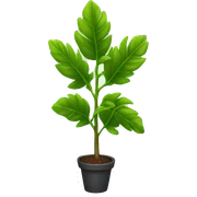 plant sticker