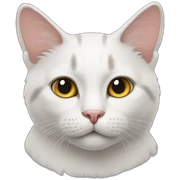 Cat cat sticker