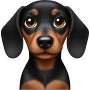 Black and brown dachshund puppy sticker