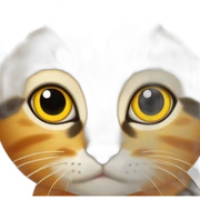 cat orange yellow sticker