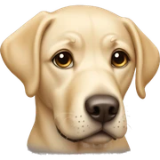 Labrador sticker