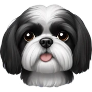 Shih tzu noir sticker