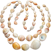 pula shell necklace  sticker