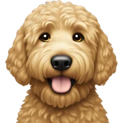 Golden doodle sticker