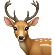Deer sticker