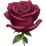 burgundy rose sticker