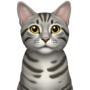 two gray tabby cats sticker