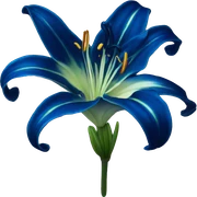 dark blue stargazer lily sticker