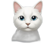 tender white cat sticker