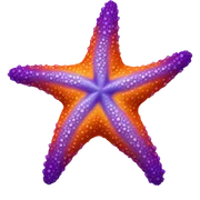 starfish sticker