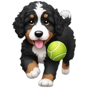 bernedoodle playing with ball sticker