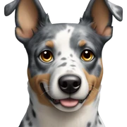 Blu heeler dog face  sticker