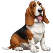 Basset sticker