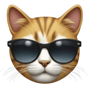 Cat with sunglasses sticker