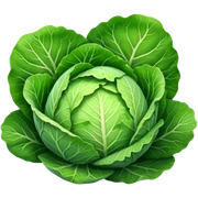Cabbage sticker