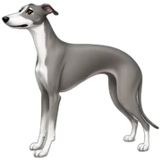 Greyhound sticker