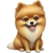 Pomeranian sticker