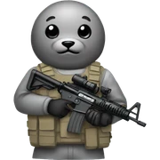 seal with hk416 sticker