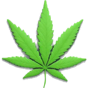 Marijuana leaf  sticker