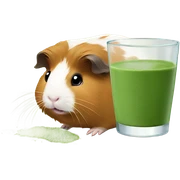 Guinea pig prepares matcha  sticker