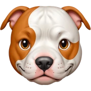 Un perro pitbull blanco con manchas naranjas y una que le tape un ojo sticker