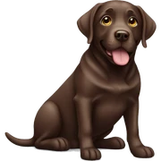 chocolate labrador sticker